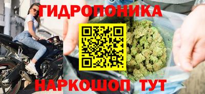 хмурый Новокубанск