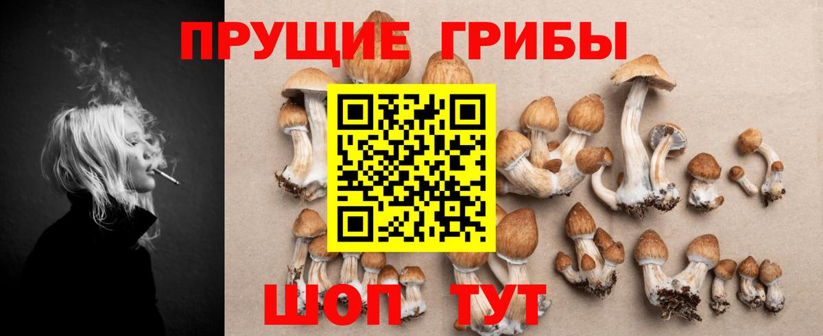 Павловский Посад  Галлюциногенные грибы Magic Shrooms  сколько стоит  Псилоцибиновые грибы мицелий  Вход с VPN 
